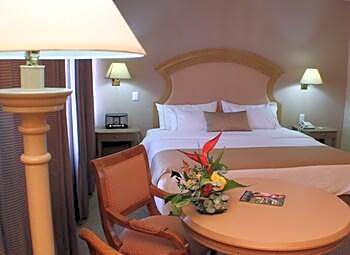 1 King Bed, Non-Smoking, Executive Room, Wi-Fi, Fax, Safe, Air Conditioning