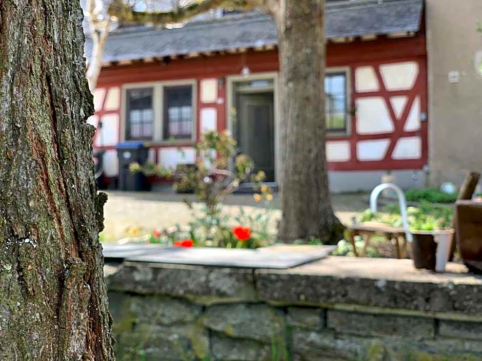 Altes Zehnthaus Geierlay