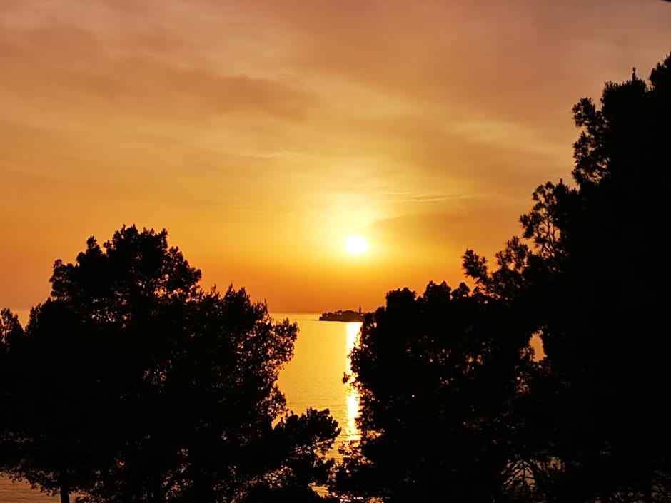 West Coast Mobilhome with XXL Terrace