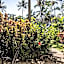 Beachfront Terraces with Onsite Reception & Check In