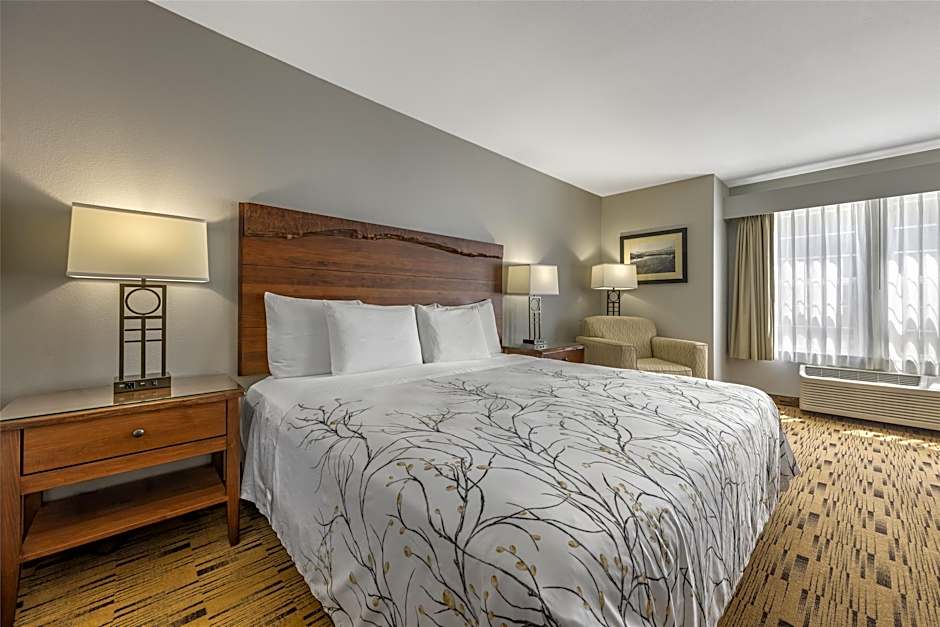 Photo 1 of 4 of 1 King Bed, Hearing Accessible, View