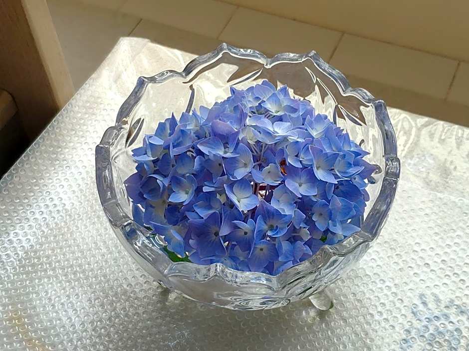 Helen's House / Close to Skytrain and Airport