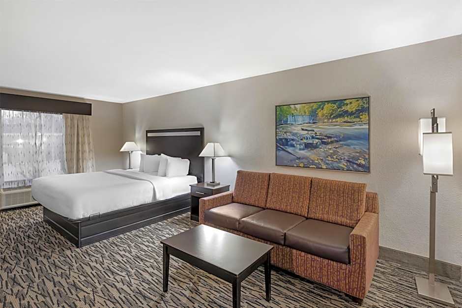 Best Western Plus McDonough Inn & Suites