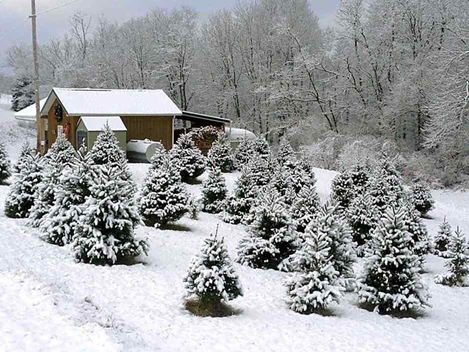 Holiday Inn Express & Suites New Martinsville By IHG