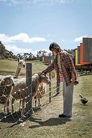 Iron Creek Bay Estate