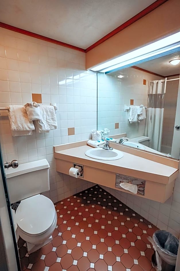 Lamplighter Inn and Suites - North