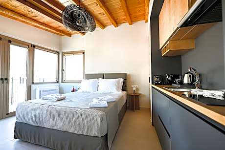Studio with Terrace
