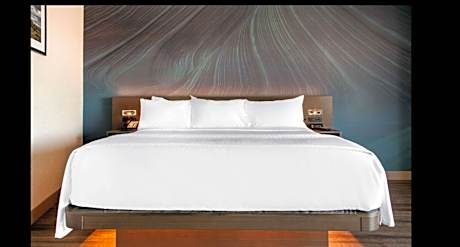 1 King Bed, Efficiency, Suite, Nonsmoking, Accessible