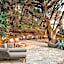 Olea Hotel