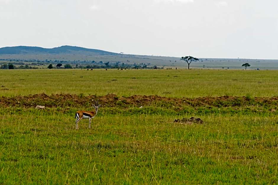 Muthu Keekorok Lodge, Maasai Mara, Narok