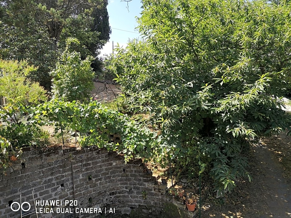 Ape Regina agriturismo 2 Montelarco