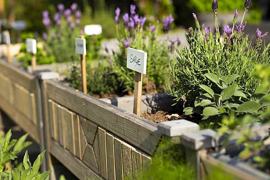 Torrance Marriott Redondo Beach