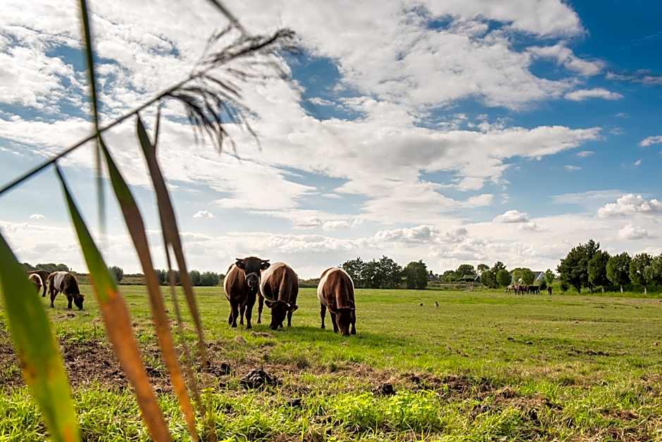 Boutique hotel Villa Oldenhoff