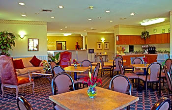 Best Western Plus North Houston Inn & Suites