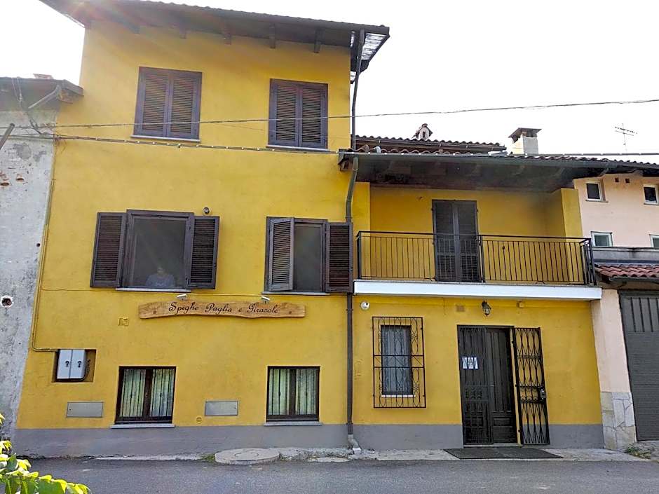 Spighe Paglia e Girasole