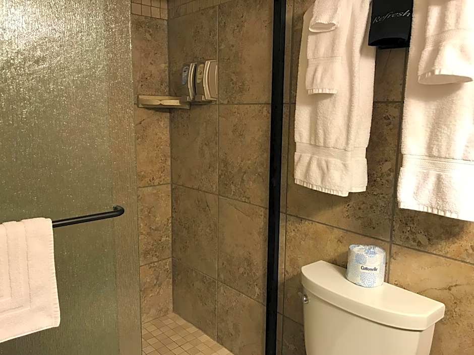 Dinosaur Inn & Suites