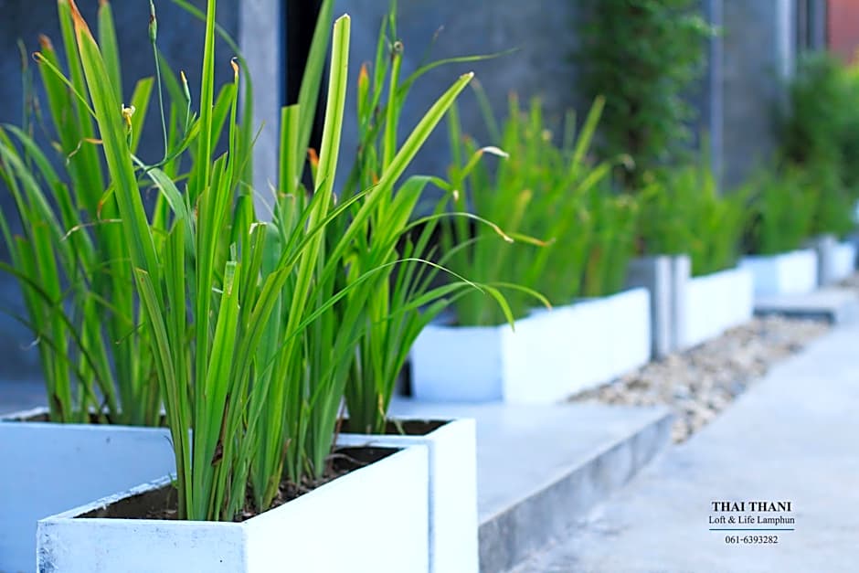 THAI THANI LOFT & LIFE LAMPHUN