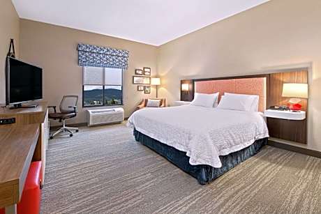 1 King Hearing Accessible Nonsmoking Vis Firealrm/door/phn Alrt/hdtv Free Wi-fi/hot Breakfast Includ