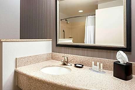 1 Bedroom 2 room Suite, 1 King, Sofa bed
