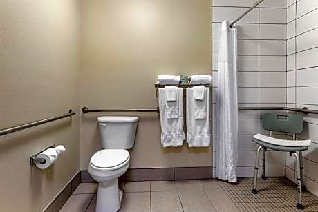 King Suite - Accessible/Non-Smoking