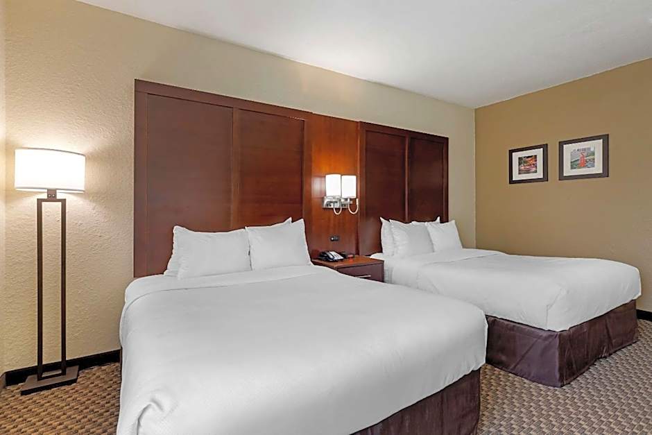 Comfort Inn & Suites Near Six Flags & Medical Center