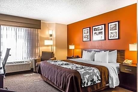 King Room - Non-Smoking