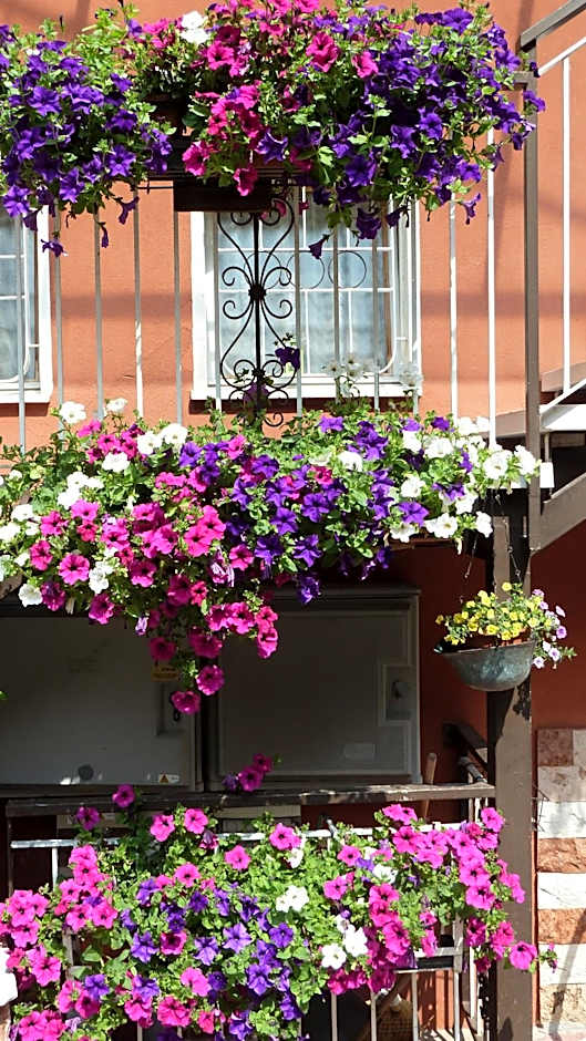 Hotel Baitone - Nature Village