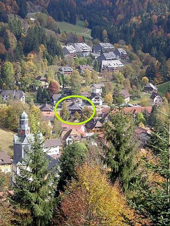 Hotel Maien