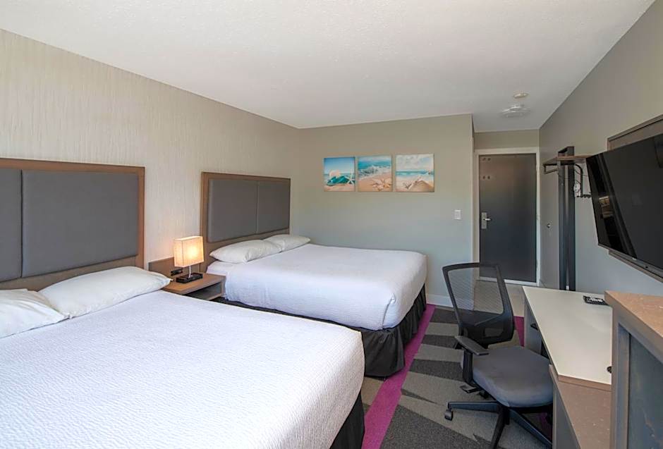 The Spot at Porpoise Bay