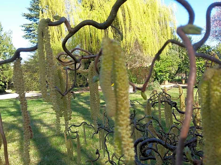 Hostellerie Sarrasine