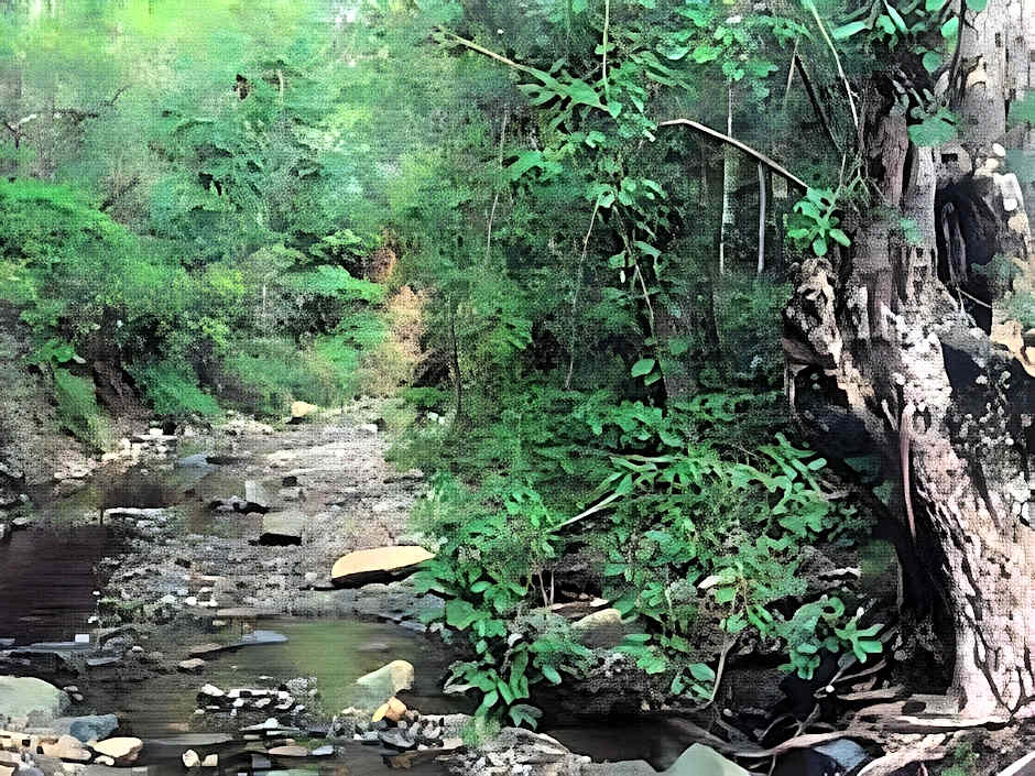 Staple House Bed and Breakfast