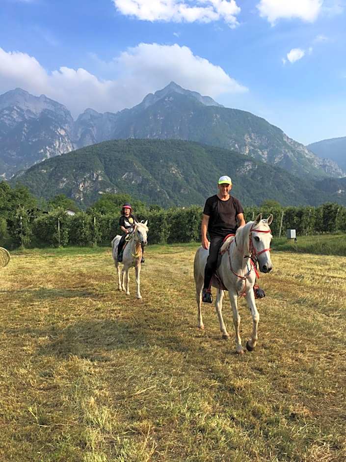 Agritur Airone Bed & Camping