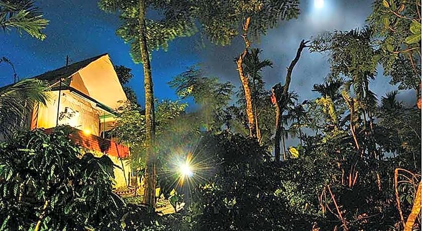 Grassroots Wayanad, Valley-view Tents