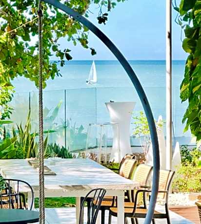 Smell rose beach garden