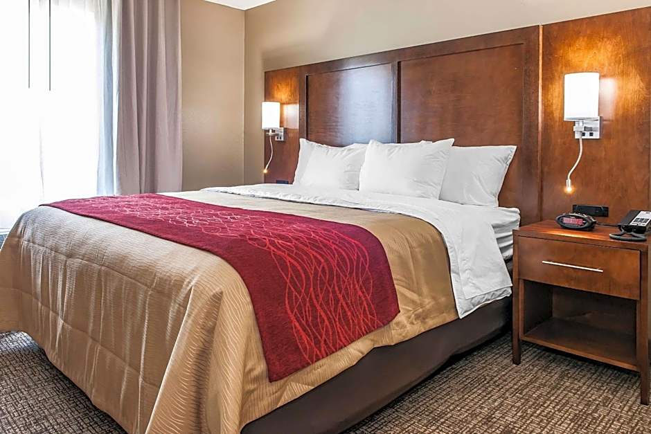 Comfort Inn & Suites Mount Sterling