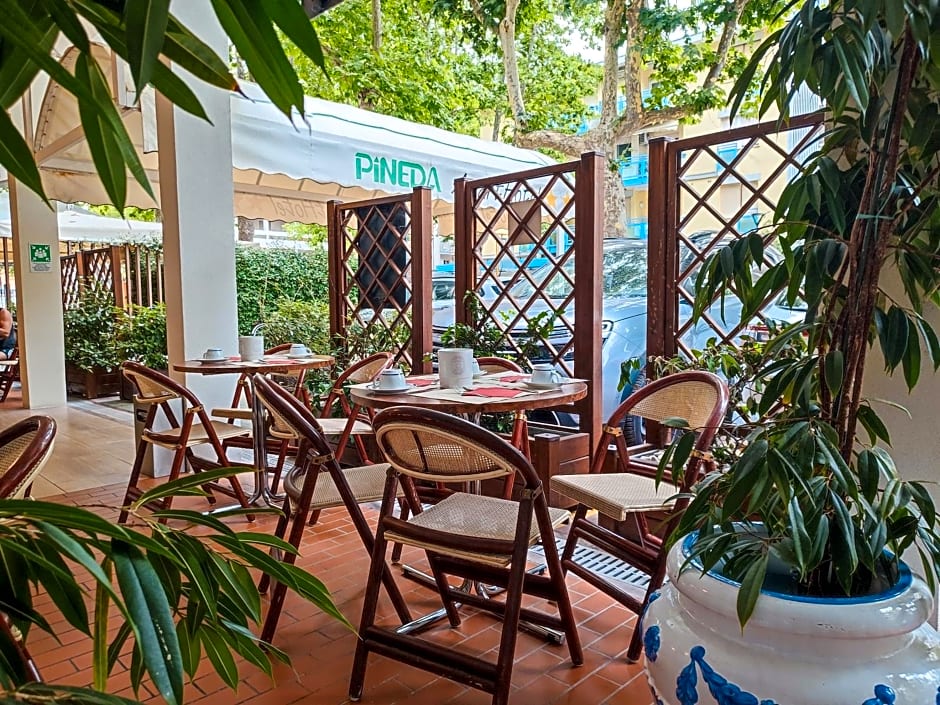 Aparthotel Pineda