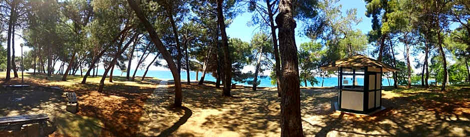 Youth Hostel Pinesta