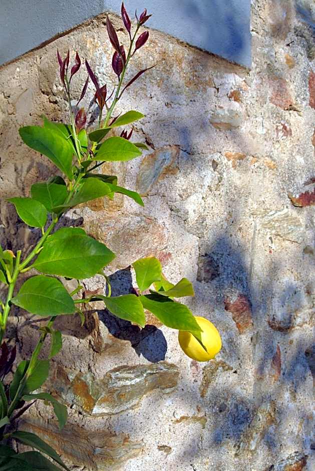 Le Relais Des Chartreuses