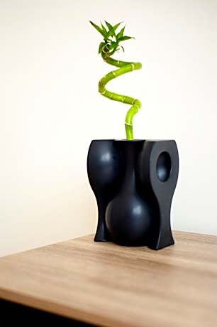 Budget Double Room without Window