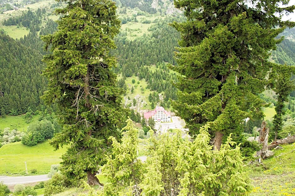 Hotel Green Valley Savsat