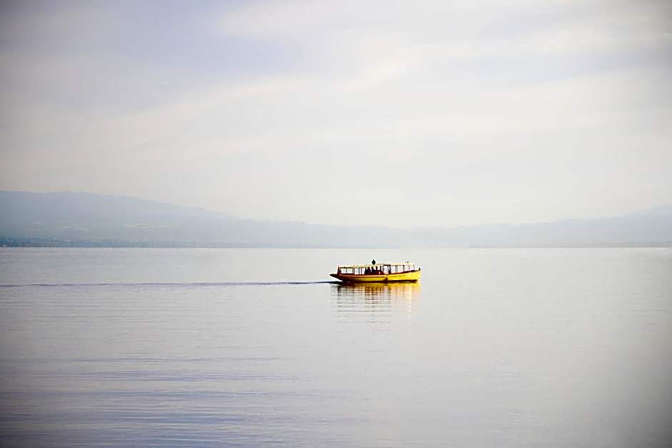 Adina Apartment Hotel Geneva