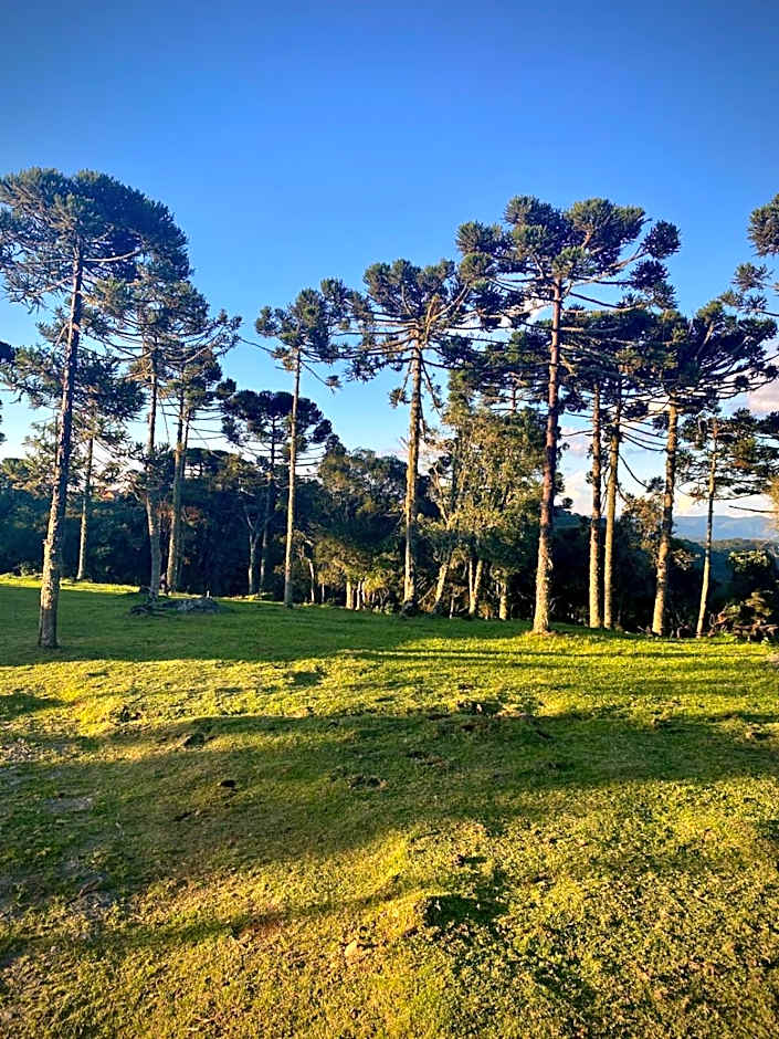 Cabanas das Araucárias