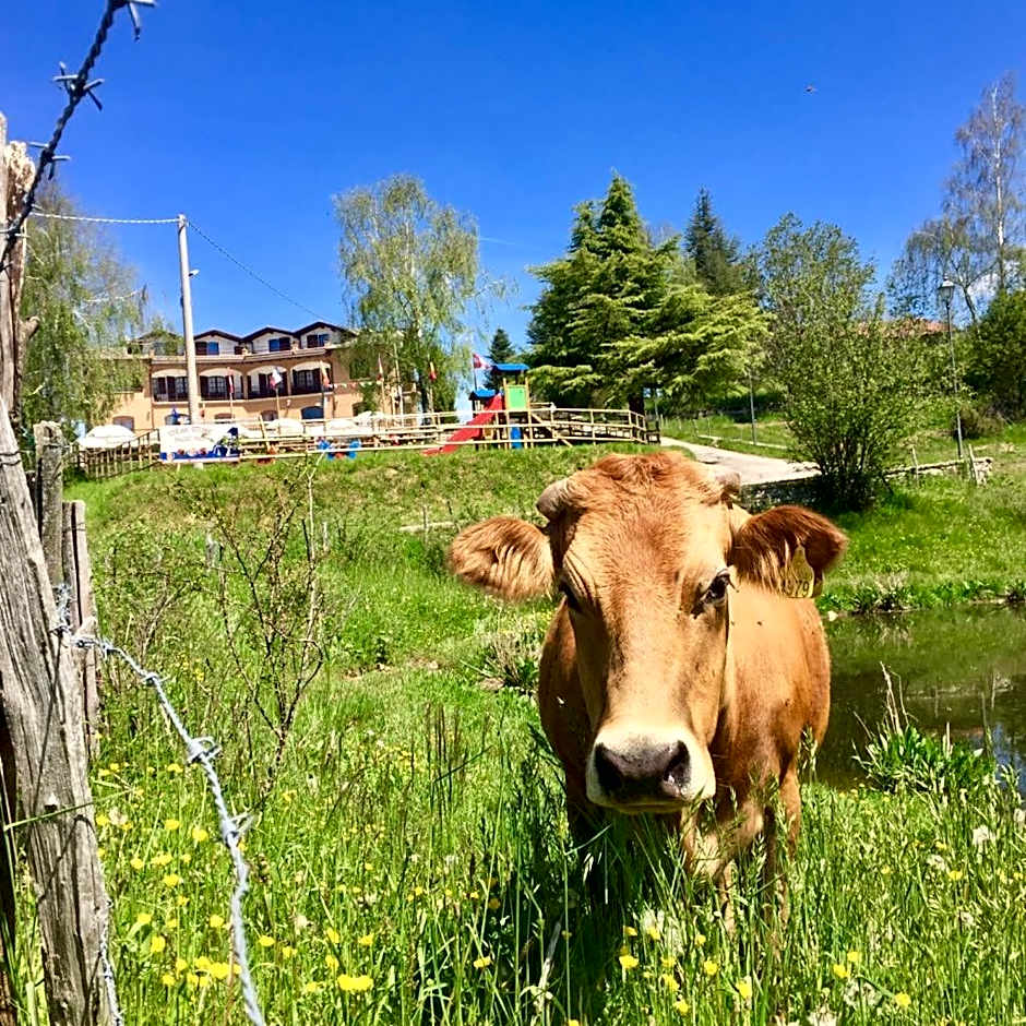Hotel Monte Baldo