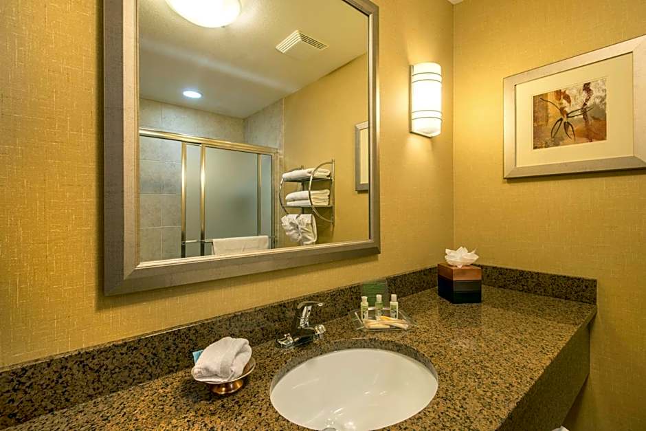 Holiday Inn Casper East - Medical Center by IHG