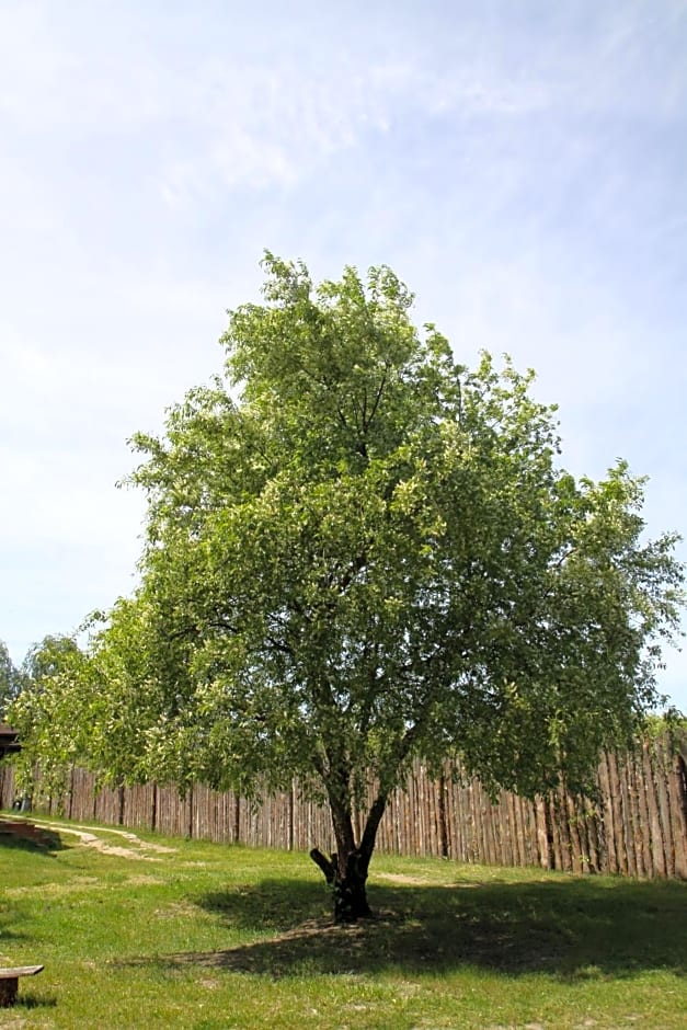 Dom imprezowy z noclegami Dziecinów