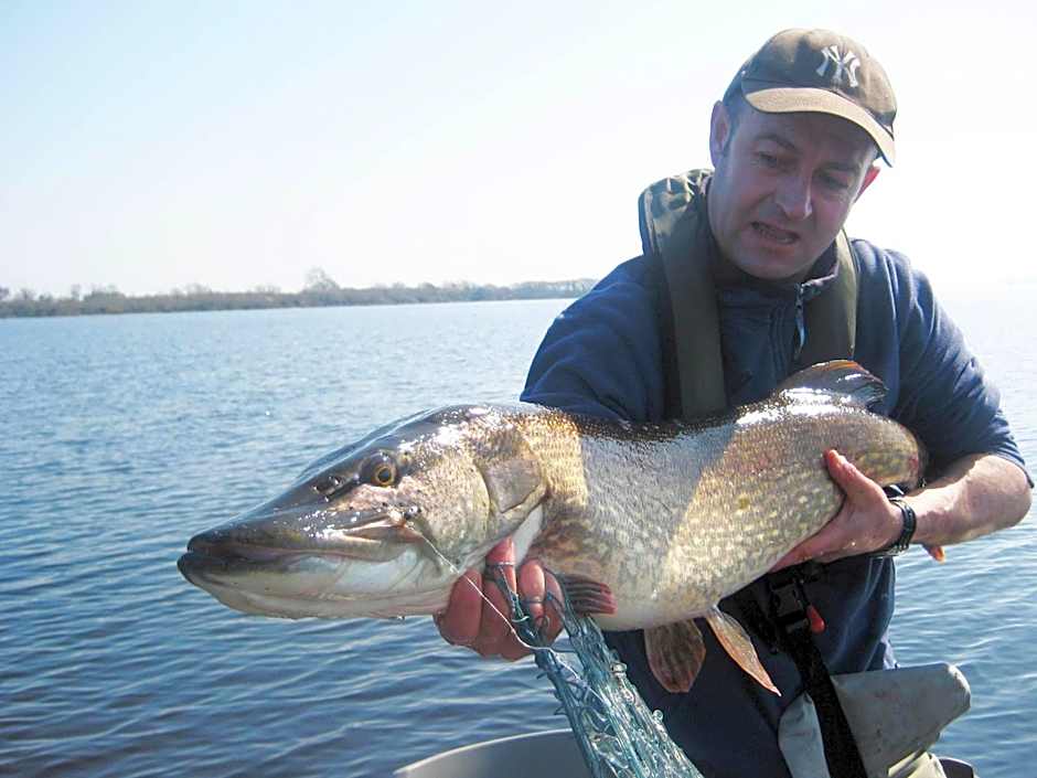 Clareville House B&B