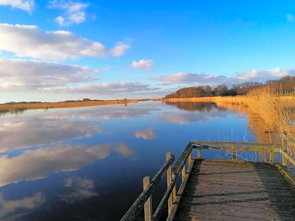 DOCK10TEXEL