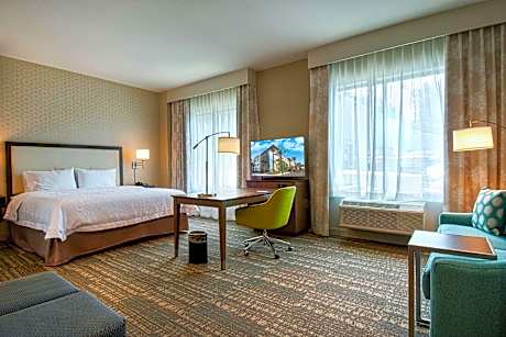 1 King Mobility Access Ri Shwr Studio Nosmok