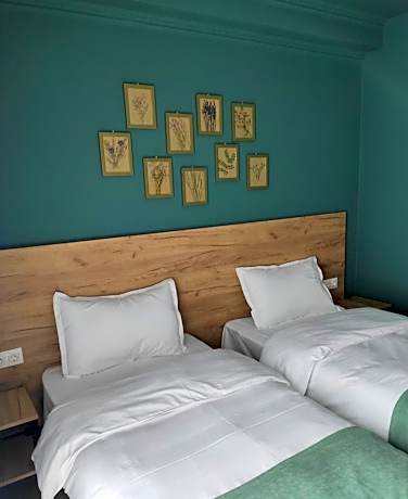 Twin Room with Back Mountain View