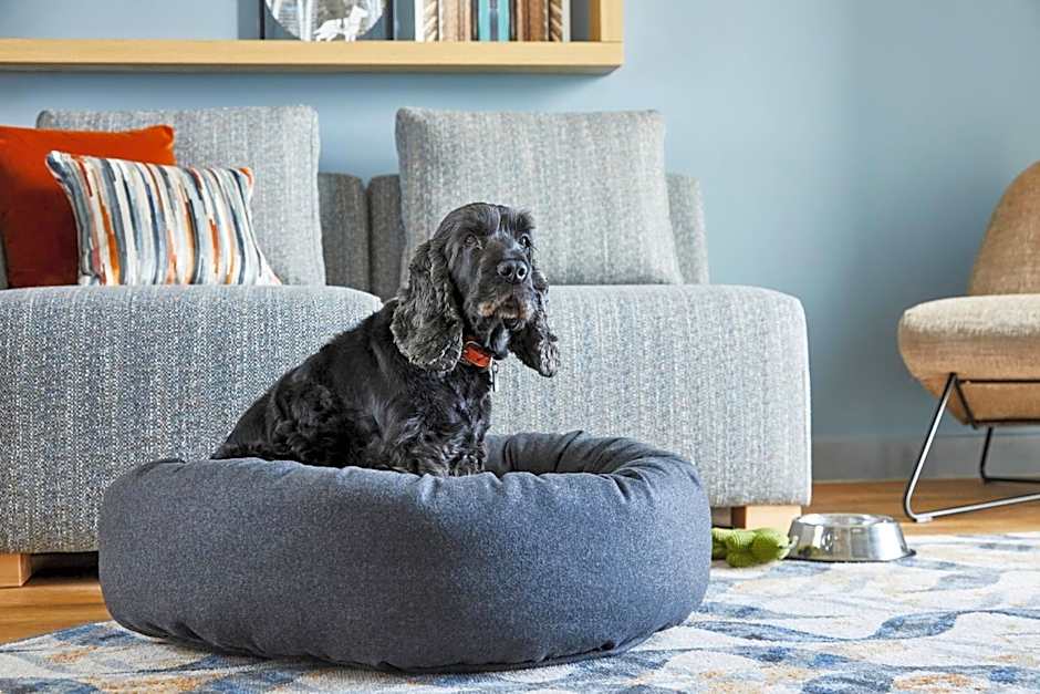 Residence Inn by Marriott Slough